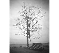 Artery8 Lone Tree Silhouette Greyscale Photo Art Print Canvas Premium Wall Decor Poster Mural