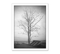 Artery8 Lone Tree Silhouette Greyscale Photo Artwork Framed Wall Art Print 18X24 Inch