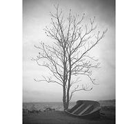 Artery8 Lone Tree Silhouette Greyscale Photo Premium Wall Art Canvas Print 18X24 Inch