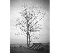 Artery8 Lone Tree Silhouette Greyscale Photo Unframed Wall Art Print Poster Home Decor Premium