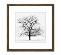 Artery8 Lone Tree Winter Frost Snow Black White Photo 8X8 Inch Square Wooden Framed Wall Art Print Picture with Mount in Brown Artery8 Brown