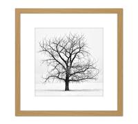Artery8 Lone Tree Winter Frost Snow Black White Photo 8X8 Inch Square Wooden Framed Wall Art Print Picture with Mount in Light Oak Artery8 Light Oak