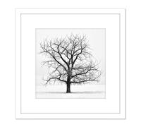 Artery8 Lone Tree Winter Frost Snow Black White Photo 8X8 Inch Square Wooden Framed Wall Art Print Picture with Mount Artery8 White