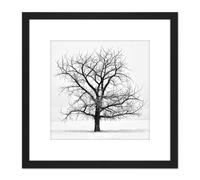 Artery8 Lone Tree Winter Frost Snow Black White Photo 8X8 Inch Square Wooden Framed Wall Art Print Picture with Mount Artery8 Black