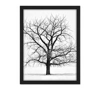 Artery8 Lone Tree Winter Frost Snow Black White Photo Artwork Framed Wall Art Print 18X24 Inch