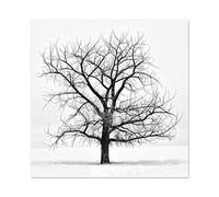 Artery8 Lone Tree Winter Frost Snow Black White Photo Large Wall Art Poster Print Thick Paper 24X24 Inch