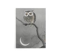 Artery8 Long Eared Owl On Tree Branch Canvas Wall Art Print Ohara Koson in Grey | Size: W12" x H16" Artery8 Grey W12" x H16"