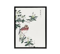 Artery8 Long Tailed Rosefinch Japanese Framed Canvas Wall Art Print Numata Kashu | Size: W24" x H32" Artery8 Multicolor W24" x H32"