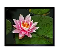 Artery8 Lotus Flower Water Lily Pad Pink Home Decor 12x16" Framed Art Print | Size: W12" x H16" Artery8 Pink W12" x H16"