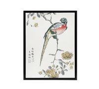 Artery8 Macaw Parrot & Peach Flowers Framed Canvas Wall Art Print Numata Kashu | Size: W18" x H24" Artery8 Multicolor W18" x H24"