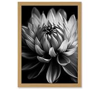 Artery8 Macro Close Up Dahlia Flower Black and White Photo Artwork Framed A3 Wall Art Print