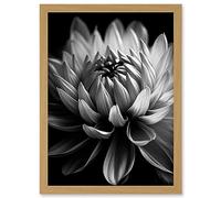 Artery8 Macro Close Up Dahlia Flower Black and White Photo Artwork Framed Wall Art Print A4
