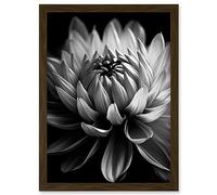 Artery8 Macro Close Up Dahlia Flower Black and White Photo Artwork Framed Wall Art Print A4