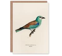 Artery8 Magnus Von Wright Art Card European Roller Bird