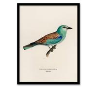Artery8 Magnus Von Wright Framed Wall Art Print European Roller Bird - A3 Size