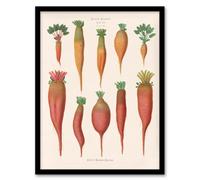 Artery8 Mangold Wurzels Field Beet Ernst Benary Framed Wall Art Print 12X16"
