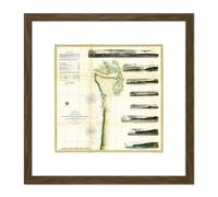 Artery8 Map Antique 1855 USCS USA North West Pacific Coast 8X8 Inch Square Wooden Framed Wall Art Print Picture with Mount in Brown Artery8 Brown