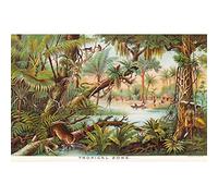 Artery8 Map Yaggy 1893 Tropical Zone Jungle Animals Large XL Wall Art Canvas Print