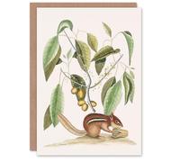 Artery8 Mark Catesby Art Card Ground Squirrel and Wild Nutmeg Blank Greeting Card