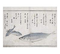Artery8 Masayoshi Three Fish Japanese Sea Animals Painting Premium Wall Art Canvas Print 18X24 Inch