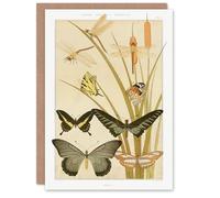 Artery8 Maurice Pillard Verneuil Art Card Butterflies and Dragonflies