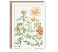 Artery8 Maurice Pillard Verneuil Art Card Chrysanthemum Flower