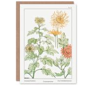 Artery8 Maurice Pillard Verneuil Art Card Chrysanthemum Flower