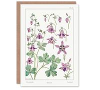 Artery8 Maurice Pillard Verneuil Art Card Columbine Aquilegia Flower