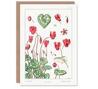 Artery8 Maurice Pillard Verneuil Art Card Cyclamen Flower Plant