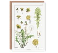 Artery8 Maurice Pillard Verneuil Art Card Dandelion Flower Plant