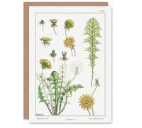 Artery8 Maurice Pillard Verneuil Art Card Dandelion Flower Plant
