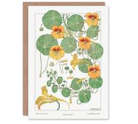 Artery8 Maurice Pillard Verneuil Art Card Nasturtium Flower in White Artery8 White