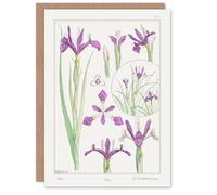 Artery8 Maurice Pillard Verneuil Art Card Purple Iris Flower