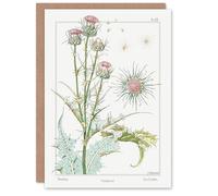 Artery8 Maurice Pillard Verneuil Art Card Thistle Flower Plant