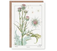 Artery8 Maurice Pillard Verneuil Art Card Thistle Flower Plant