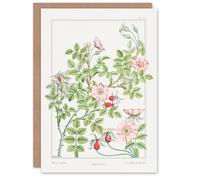 Artery8 Maurice Pillard Verneuil Art Card Wild Rose Flower