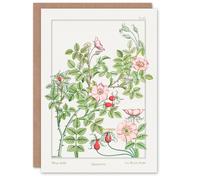 Artery8 Maurice Pillard Verneuil Art Card Wild Rose Flower