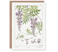Artery8 Maurice Pillard Verneuil Art Card Wisteria Flower