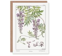 Artery8 Maurice Pillard Verneuil Art Card Wisteria Flower in White Artery8 White