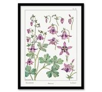 Artery8 Maurice Pillard Verneuil Framed Wall Art Columbine Aquilegia Flower in White | Size: A4 Artery8 White A4