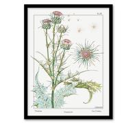 Artery8 Maurice Pillard Verneuil Framed Wall Art Print Thistle Flower Plant in White | Size: A3 Artery8 White A3