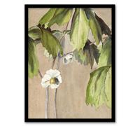 Artery8 May Apple Flower Watercolour Vintage Framed Wall Art Print Overbeck in Beige | Size: A4 Artery8 Beige A4