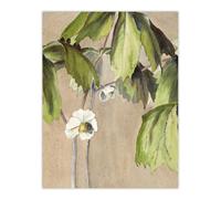 Artery8 May Apple Flower Watercolour Vintage Wall Art Print Overbeck in Beige | Size: W18" x H24" Artery8 Beige W18" x H24"
