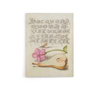 Artery8 Mayfly Red Campion & Pear Calligraphy Canvas Wall Art Print in Beige | Size: W24" x H32" Artery8 Beige W24" x H32"