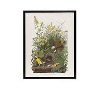 Artery8 Meadowlark Bird False Foxglove Audubon Black Framed Canvas Wall Art in White | Size: W24" x H32" Artery8 White W24" x H32"