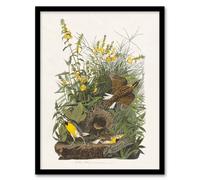 Artery8 Meadowlark Bird False Foxglove Audubon Framed Wall Art Print in White | Size: A4 Artery8 White A4
