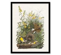 Artery8 Meadowlark Bird False Foxglove Framed Wall Art Print A4 Artwork By Audubon : Meadow Bird Illustration Suited For Hallway Or Bedroom Capturing Sunlight Countryside And Calm Tone