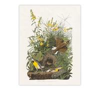 Artery8 Meadowlark Bird False Foxglove XL Wall Art Poster Print 24X32 Artwork By Audubon : Meadow Bird Illustration Suited For Hallway Or Bedroom Capturing Sunlight Countryside And Calm Tone