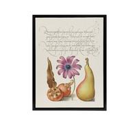 Artery8 Medlar Poppy Anemone & Pear Calligraphy Framed Canvas Wall Art Print in White | Size: W24" x H32" Artery8 White W24" x H32"