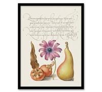 Artery8 Medlar Poppy Anemone & Pear Calligraphy Framed Wall Art Print in White | Size: A4 Artery8 White A4